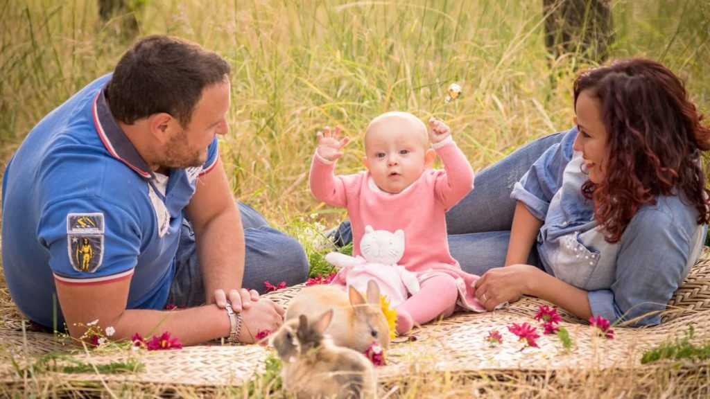 A family enjoying a picnic outdoors with their baby and rabbits.